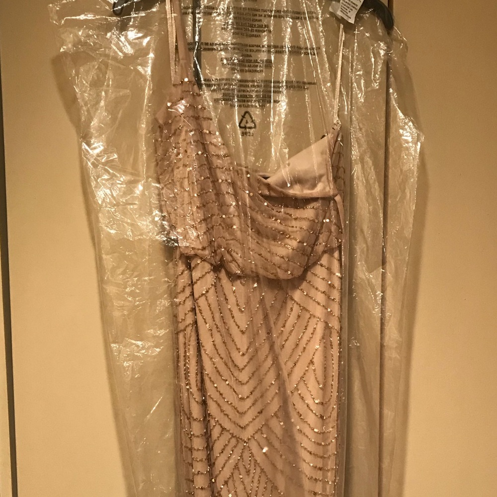 Adrianna Papell Floor Length Dress